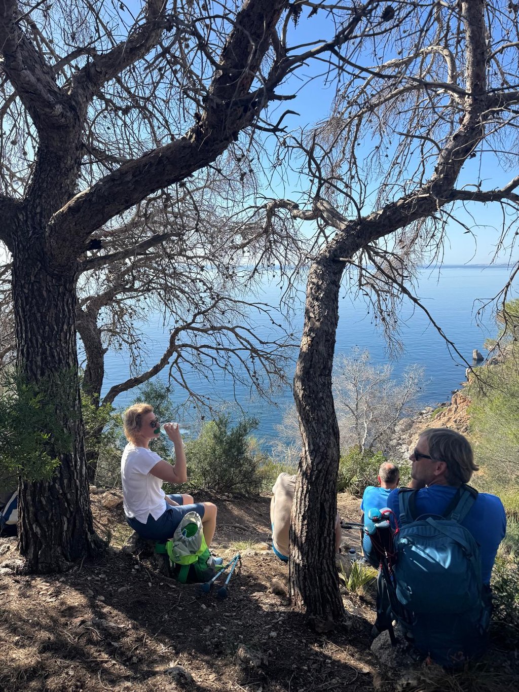Pause unter Kiefern mit Blick aufs Meer