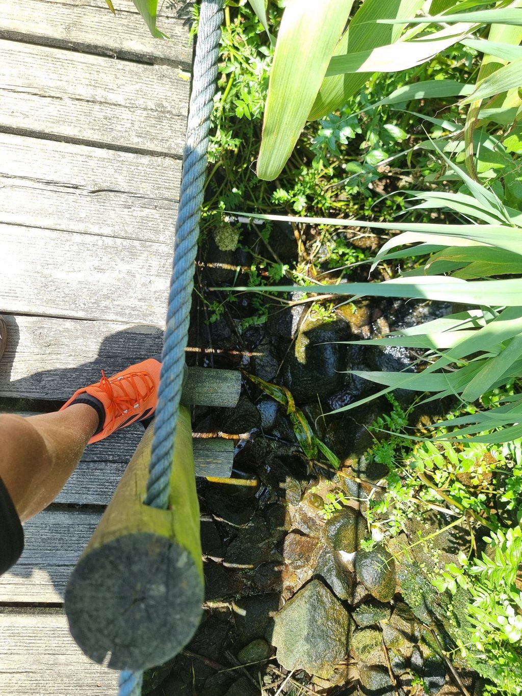 Schritt über einen hölzernen Steg am Wasser